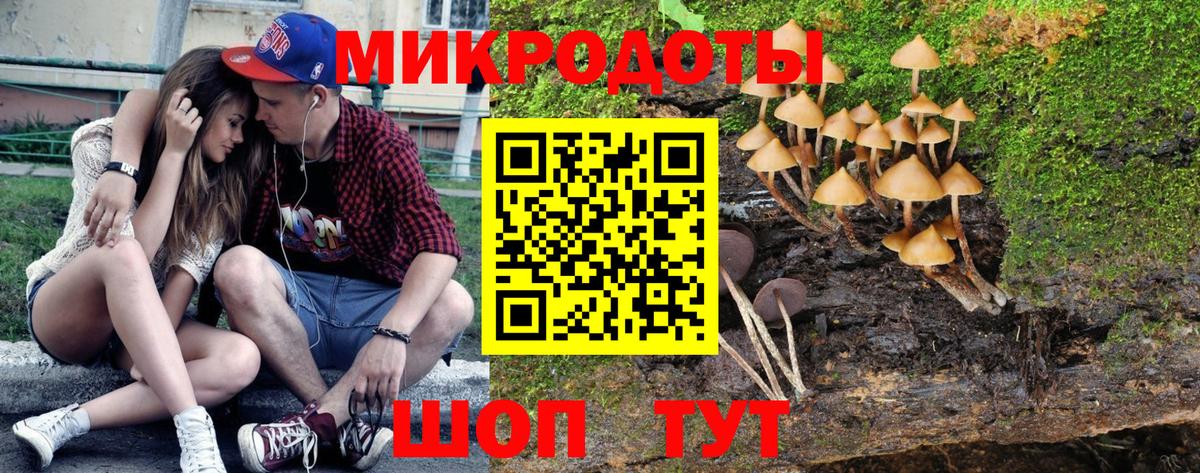 Абакан  Псилоцибиновые грибы Psilocybe  Галлюциногенные грибы мицелий  Вход с VPN 