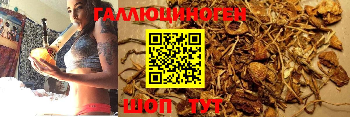 Псилоцибиновые грибы MAGIC MUSHROOMS Абакан
